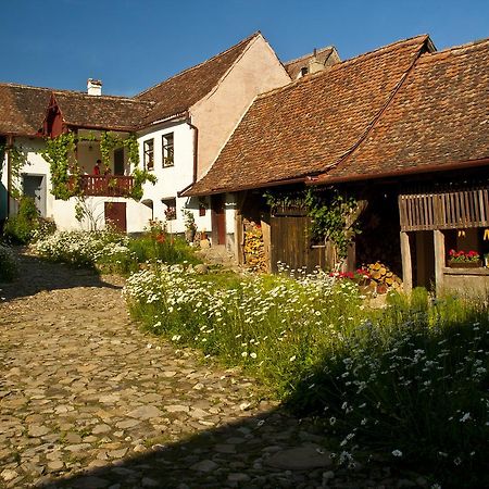 Casa Cu Zorele, Crit 189 Exteriör bild