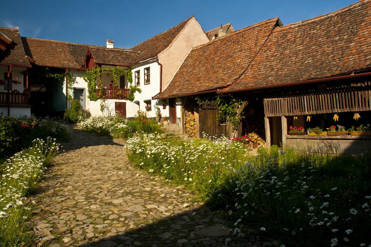 Casa Cu Zorele, Crit 189 Exteriör bild